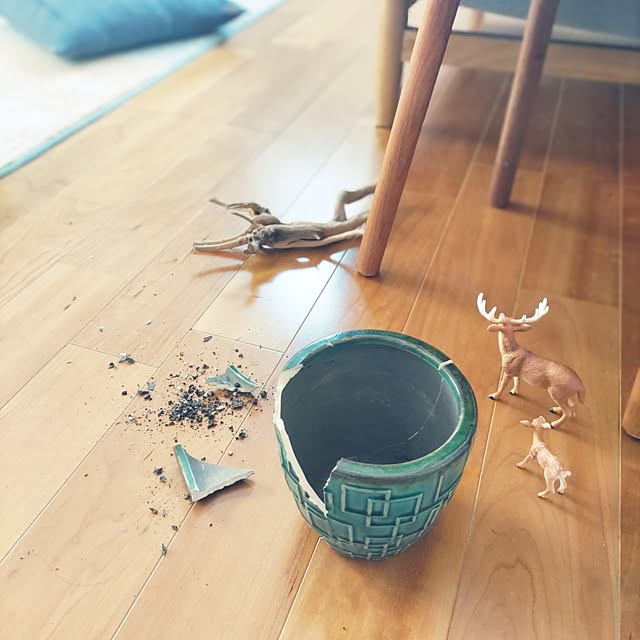 Haさんの部屋