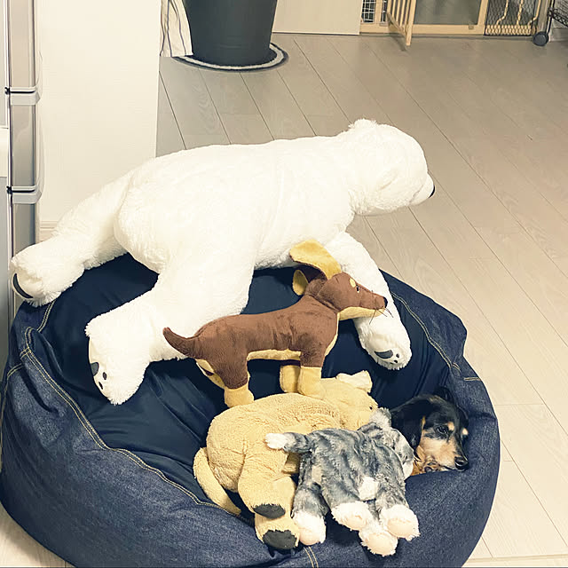 ohanaさんの実例写真