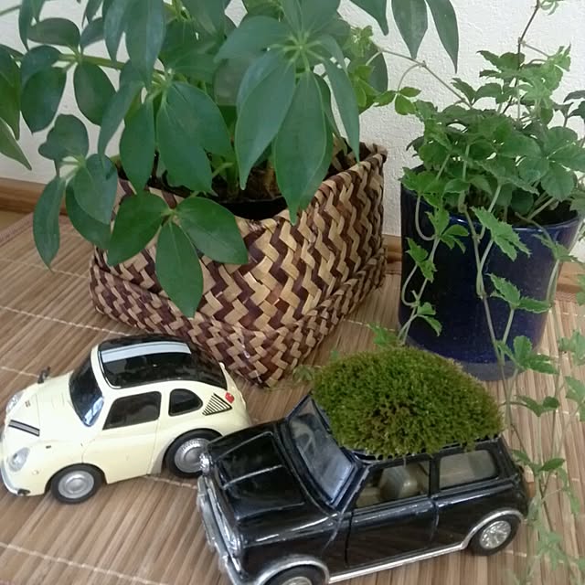 mintさんの実例写真