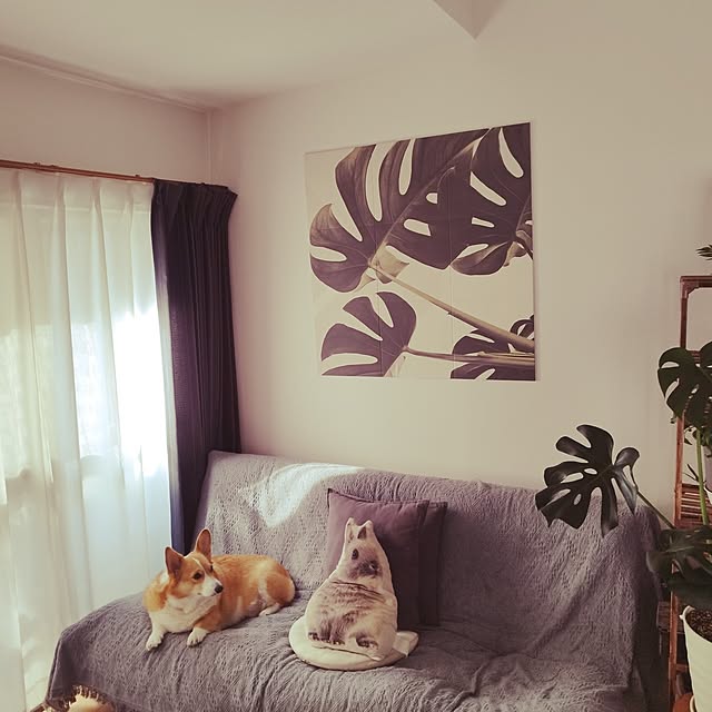 animallandさんの実例写真