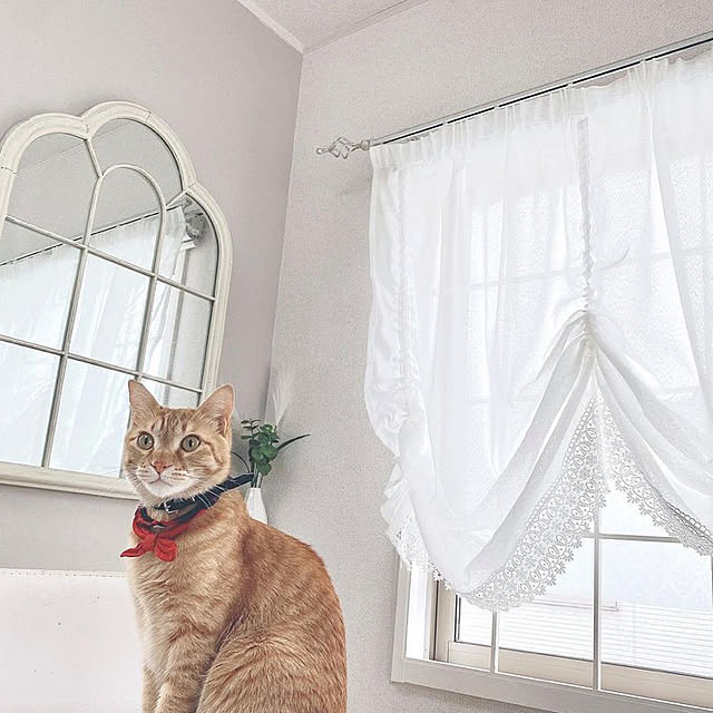 mii_home_39さんの実例写真
