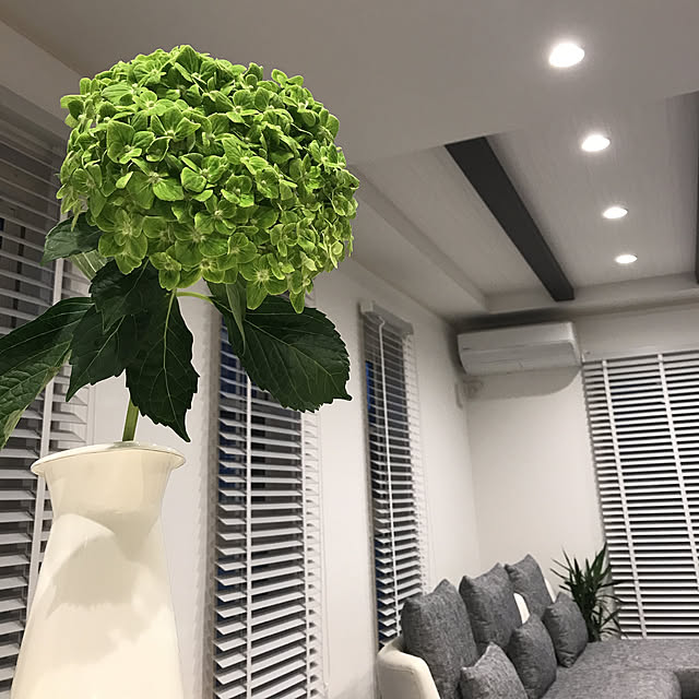 yukoさんの実例写真
