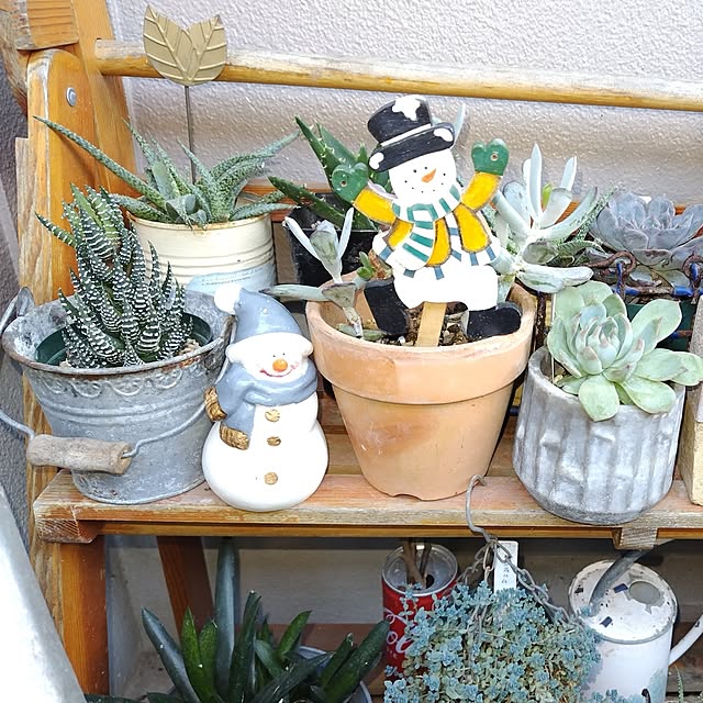 katさんの実例写真