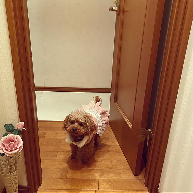 mukkuさんの実例写真