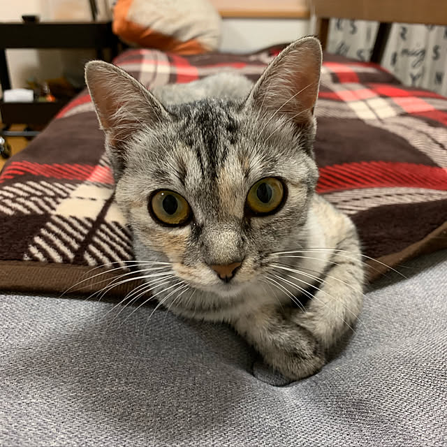 erichinさんの実例写真