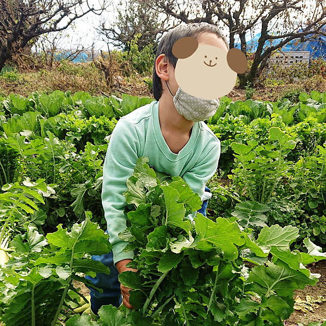 部屋全体のインテリア実例 - 2021-02-01 20:27:24