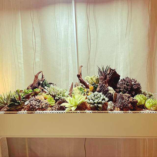 nanakoさんの実例写真