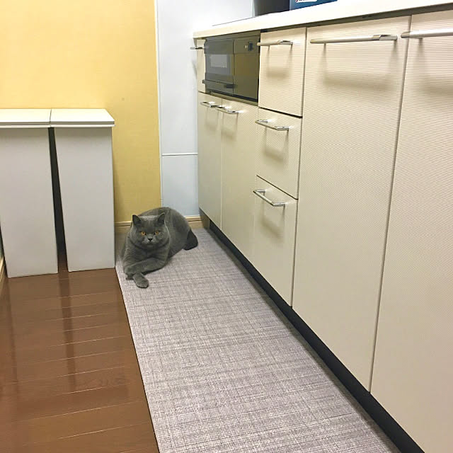 kittyさんの実例写真