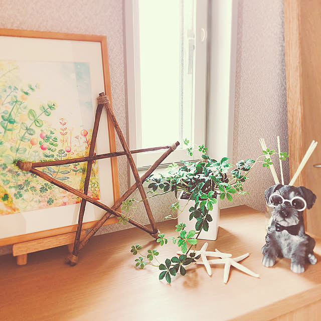 P-conutsさんの実例写真