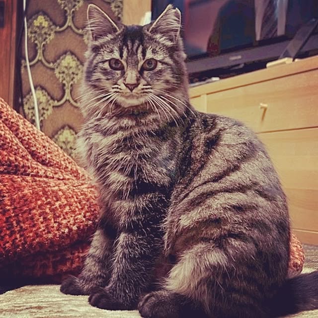 ruantaiさんの部屋