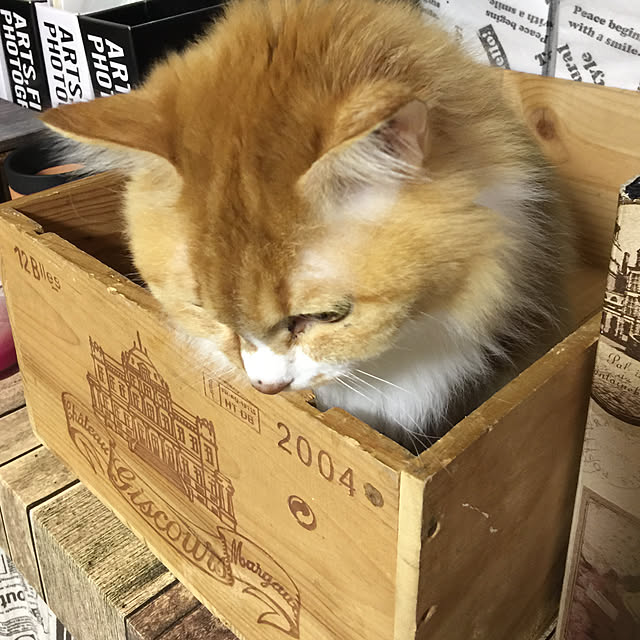 aym0418さんの実例写真
