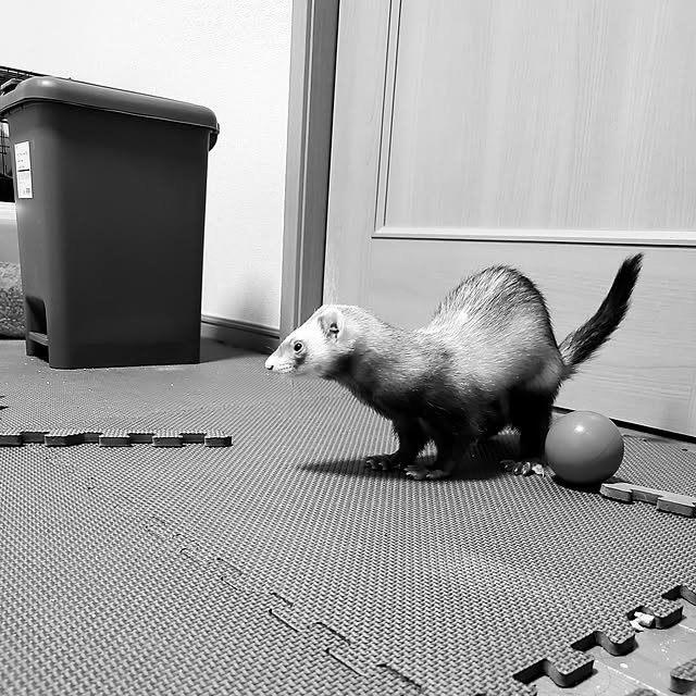 haruさんの部屋