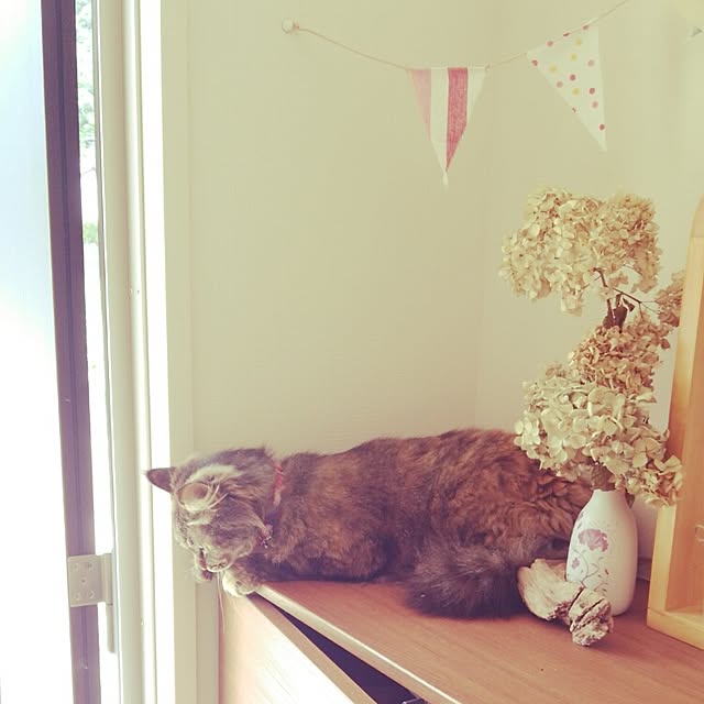yukoさんの実例写真
