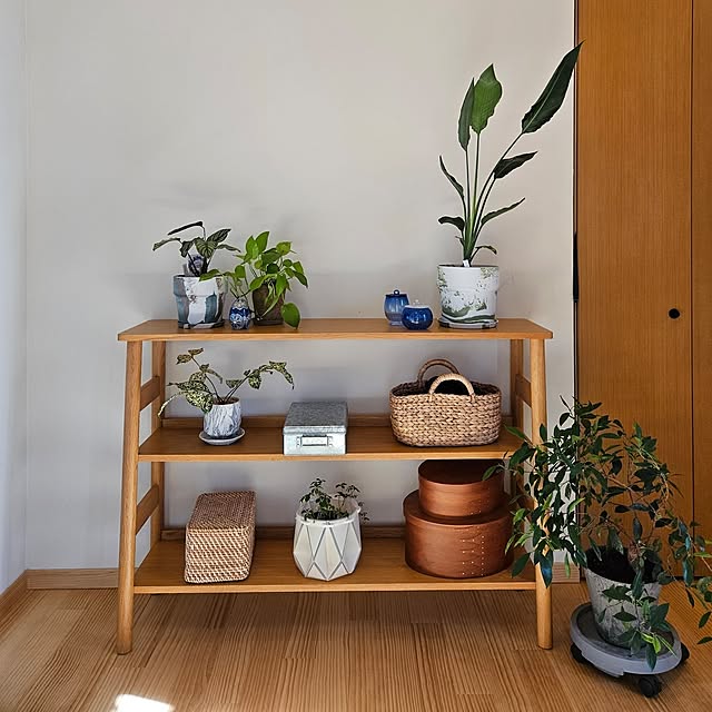 kayakoさんの部屋