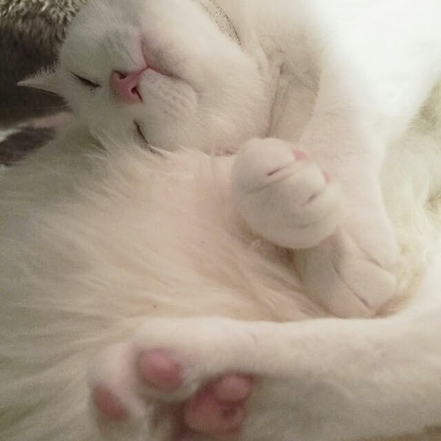 kikinanaさんの実例写真
