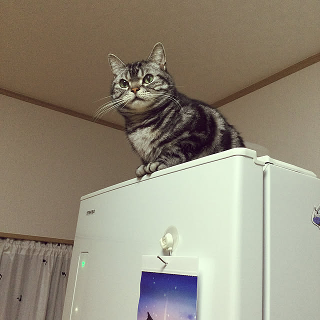 richanさんの実例写真