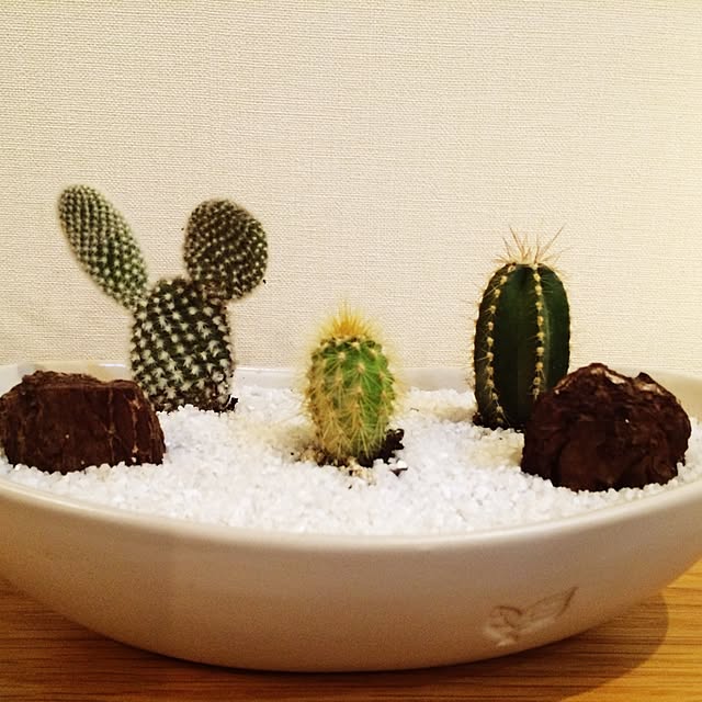 Eriさんの実例写真