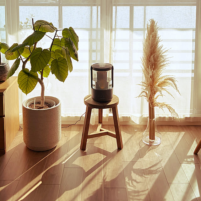 Anthuriumさんの部屋