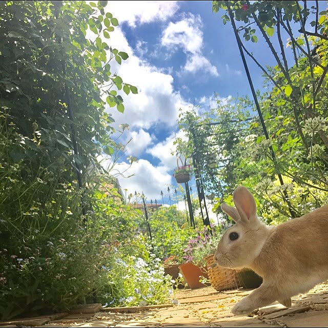 khj1974さんの実例写真