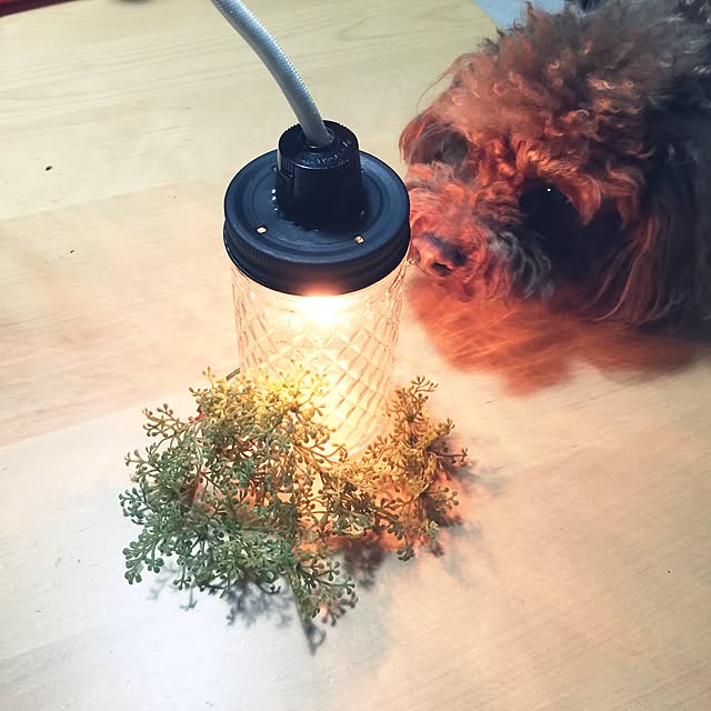 tanuさんの実例写真
