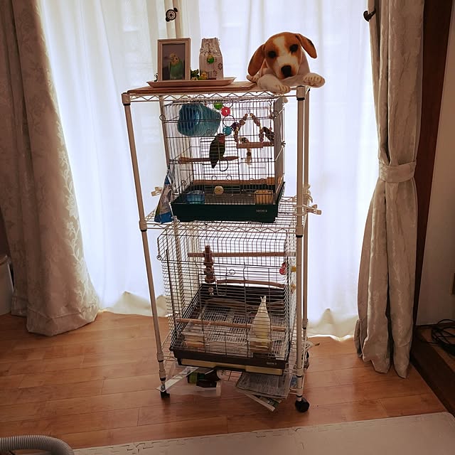 vol.4035写真
