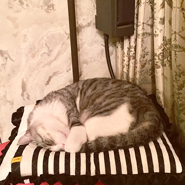 emmyyさんの実例写真