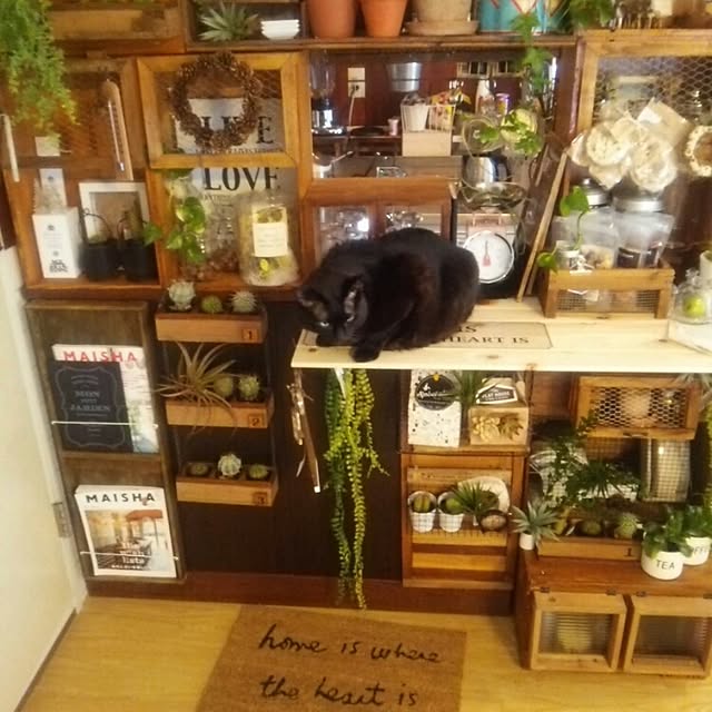 ugさんの実例写真