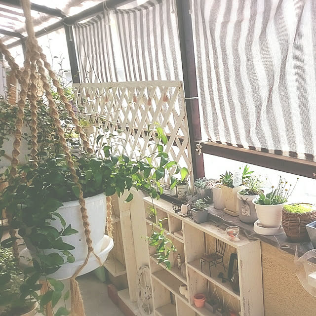 miho.okuさんの実例写真
