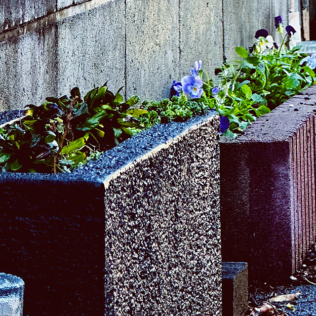 chacoさんの部屋