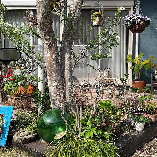 nobikoさんの部屋