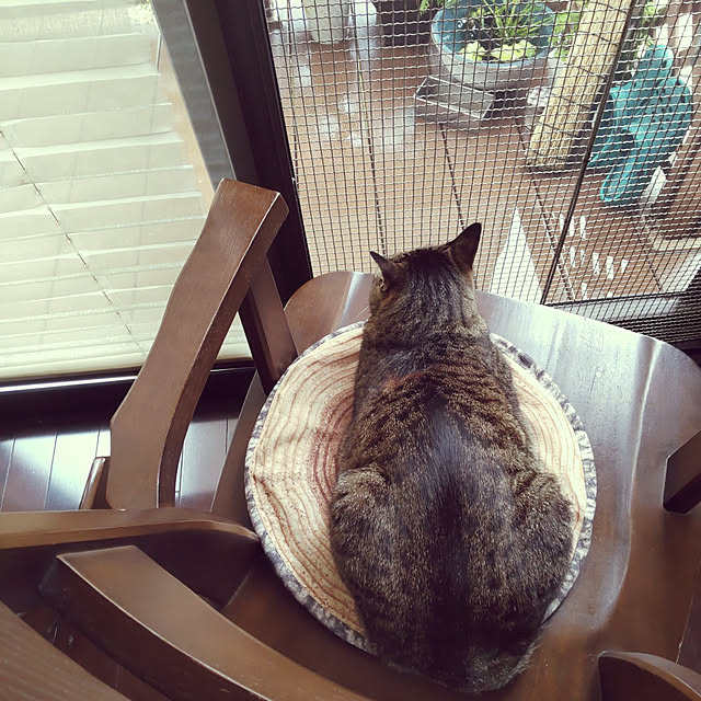 komugiさんの実例写真
