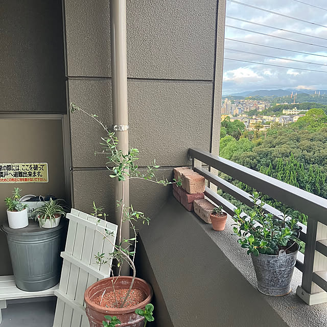 koshiregutyoさんの部屋