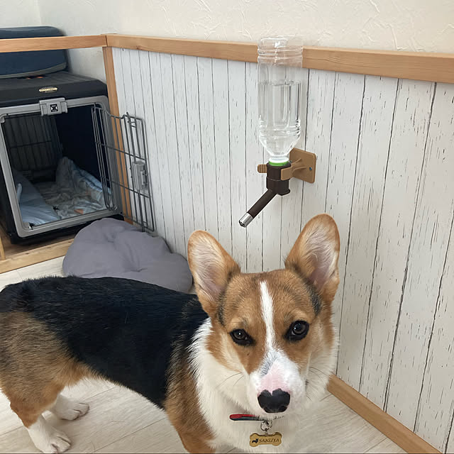 bobさんの実例写真