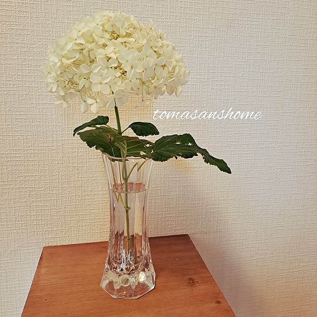 tomasanさんの実例写真
