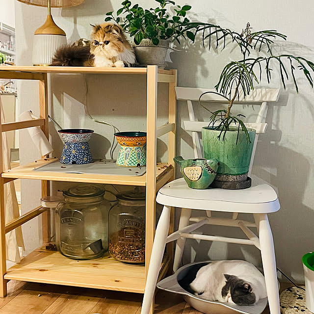 mukkomikkoさんの部屋