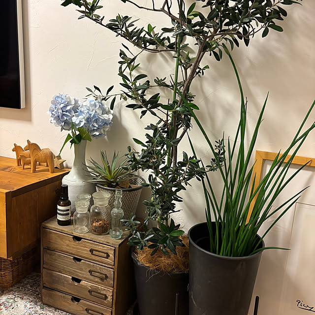 hannaさんの部屋