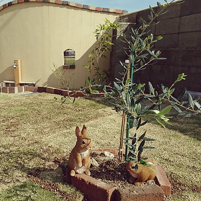yasuyuさんの実例写真