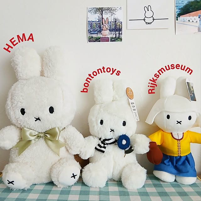 womiさんの実例写真