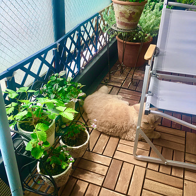 naokoさんの部屋