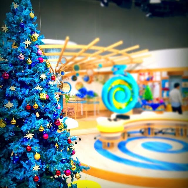 SDT_marugotoさんの実例写真