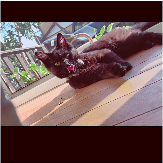 chocolatさんの実例写真
