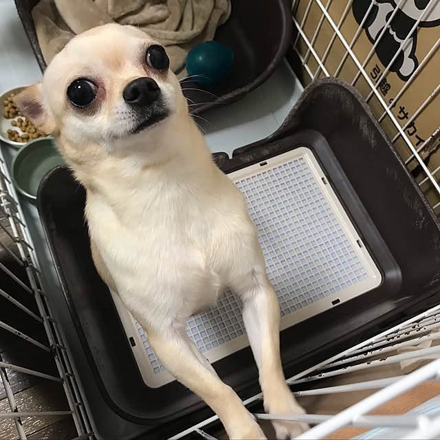 nacchintunnさんの実例写真