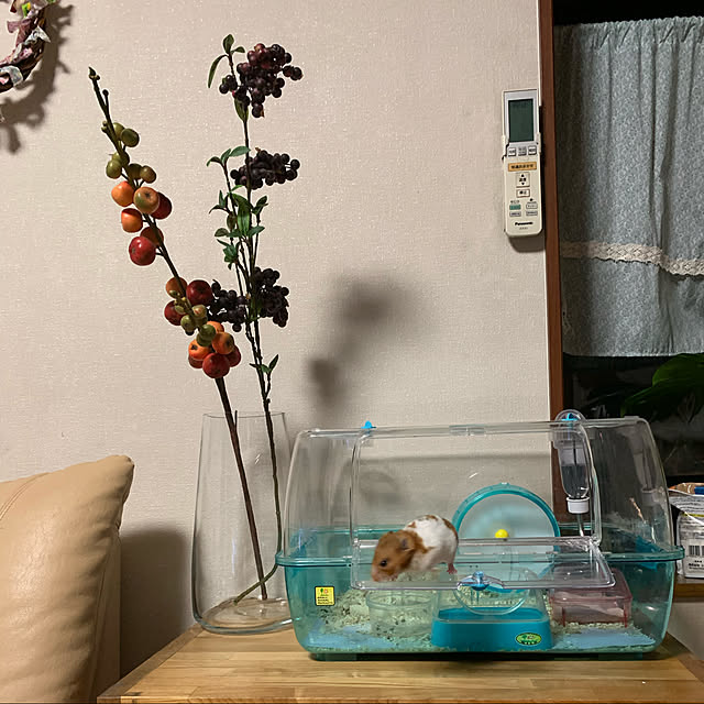 実例写真