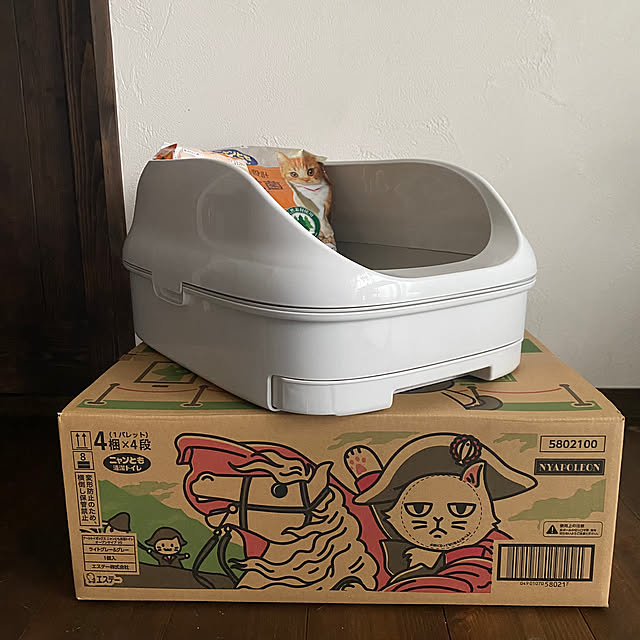 capelさんの部屋