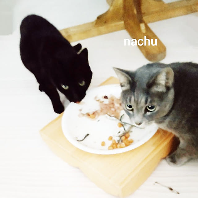 nachuさんの実例写真