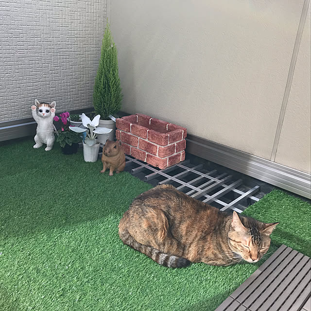 hansho.sさんの実例写真