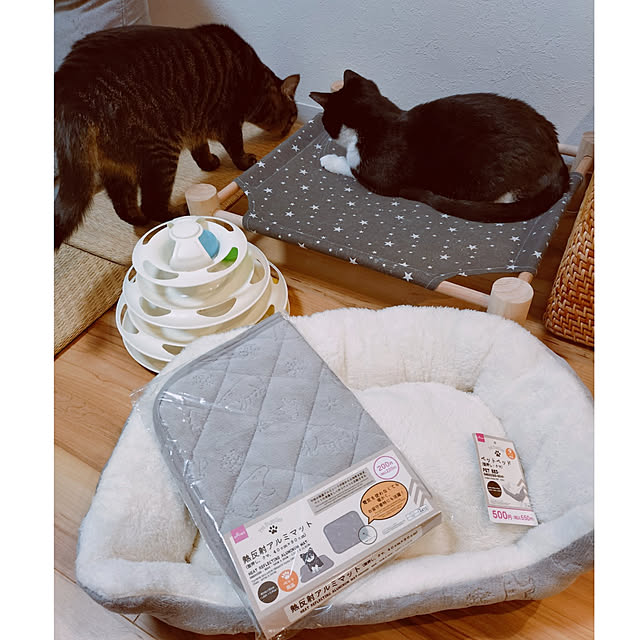 hihaさんの実例写真