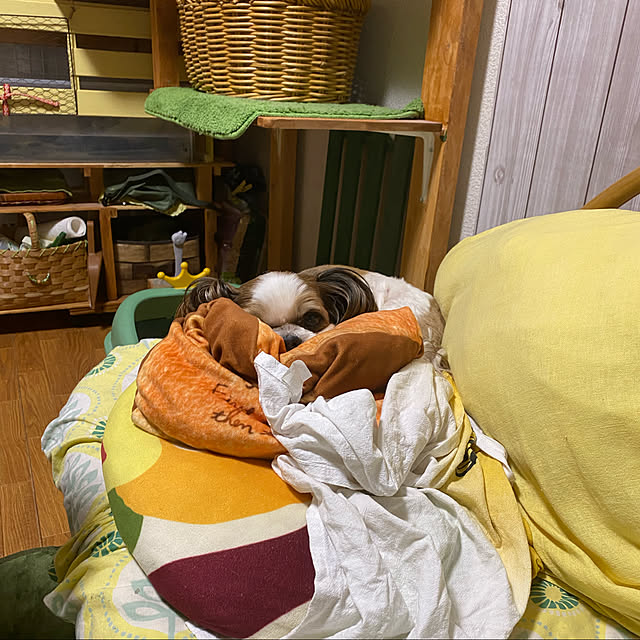 SHIHOさんの実例写真