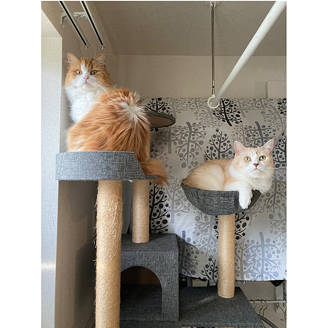 H.Tさんの実例写真