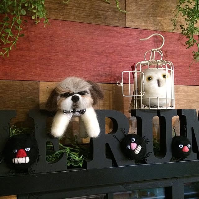 ANNAさんの実例写真
